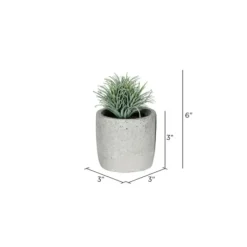 Arrangements & Greenery-Kirkland's Home Succulents In Ceramic Pots, Set Of 4 Green