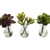 Arrangements & Greenery-Kirkland's Home Succulents In Glass Vases, Set Of 3 Green