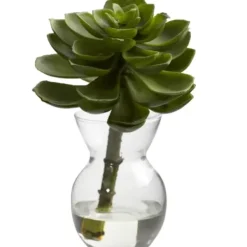Arrangements & Greenery-Kirkland's Home Succulents In Glass Vases, Set Of 3 Green