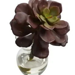 Arrangements & Greenery-Kirkland's Home Succulents In Glass Vases, Set Of 3 Green