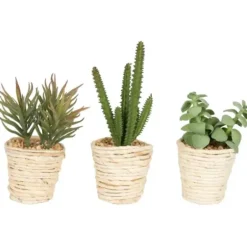 Arrangements & Greenery-Kirkland's Home Succulents In Twine Planters, Set Of 3 Green/Tan