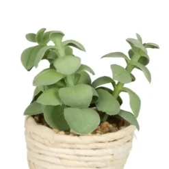 Arrangements & Greenery-Kirkland's Home Succulents In Twine Planters, Set Of 3 Green/Tan