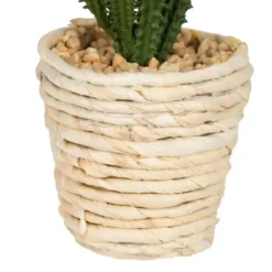 Arrangements & Greenery-Kirkland's Home Succulents In Twine Planters, Set Of 3 Green/Tan