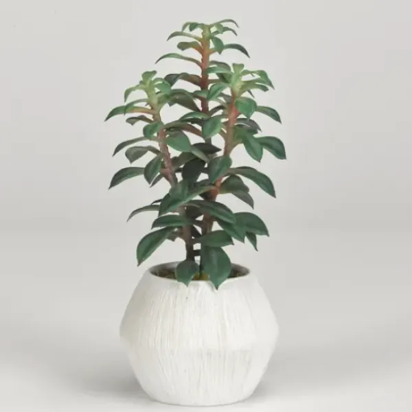 Arrangements & Greenery-Kirkland's Home Succulents In White Ceramic Planter Green/Gray