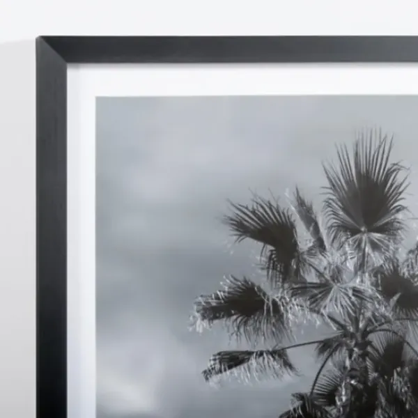 Framed Art-Kirkland's Home Swaying Palms Framed Art Print Black/White