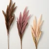 Stems & Bouquets-Kirkland's Home Tall Neutral Desert Grass Plumes, Set Of 3 Brown/Pink/White