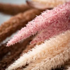 Stems & Bouquets-Kirkland's Home Tall Neutral Desert Grass Plumes, Set Of 3 Brown/Pink/White