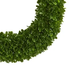 Wreaths-Kirkland's Home Tea Leaf Wreath Green