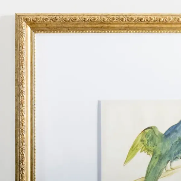 Framed Art-Kirkland's Home The Dark Green Bird Framed Art Print White/Green