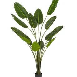 Trees & Topiaries-Kirkland's Home Travelers Palm Potted Tree, 7 Ft.