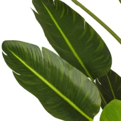 Trees & Topiaries-Kirkland's Home Travelers Palm Potted Tree, 7 Ft.