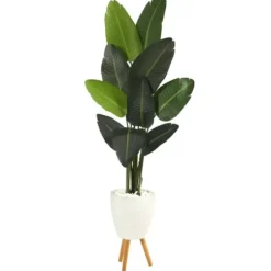 Trees & Topiaries-Kirkland's Home Travelers Palm Rock Tree In White Plant Stand
