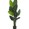 Trees & Topiaries-Kirkland's Home Travelers Palm Tree In Black Planter, 58 In.