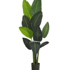Trees & Topiaries-Kirkland's Home Travelers Palm Tree In Black Planter, 58 In.