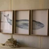 Framed Art-Kirkland's Home Triptych Whale Framed Art Prints, Set Of 3 White/Blue