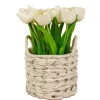 Arrangements & Greenery-Kirkland's Home Tulip Arrangement In Basket White