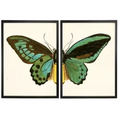 Framed Art-Kirkland's Home Turquoise Butterfly Framed Art Prints, Set Of 2 Multi
