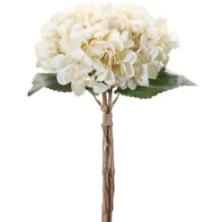 Stems & Bouquets-Kirkland's Home Twine Tied Cream Hydrangea Bundles, Set Of 12 Ivory/Green
