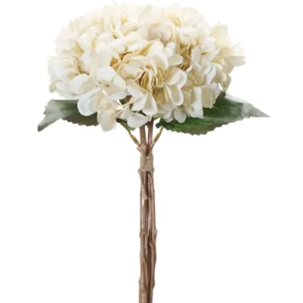 Stems & Bouquets-Kirkland's Home Twine Tied Cream Hydrangea Bundles, Set Of 12 Ivory/Green