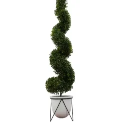 Trees & Topiaries-Kirkland's Home Twisted Boxwood Topiary In White Pot