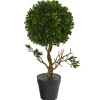 Trees & Topiaries-Kirkland's Home Uv-Safe Boxwood Topiary In Nursery Planter