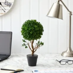 Trees & Topiaries-Kirkland's Home Uv-Safe Boxwood Topiary In Nursery Planter