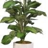 Stems & Bouquets-Kirkland's Home Variegated Hosta Plant In Textured Planter Green/White