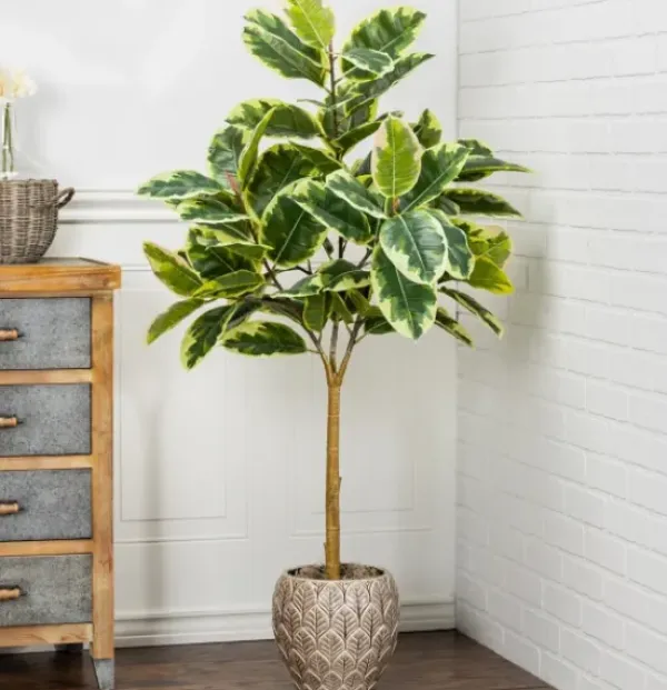 Trees & Topiaries-Kirkland's Home Variegated Rubber Tree In Black Pot, 4 Ft.