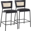 Bar Stools & Counter Height Stools-Kirkland's Home Vegan Leather And Rattan Counter Stools, Set Of 2 Black/Tan