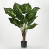Trees & Topiaries-Kirkland's Home Veined Zebra Palm Potted Plant