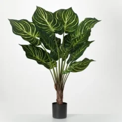 Trees & Topiaries-Kirkland's Home Veined Zebra Palm Potted Plant
