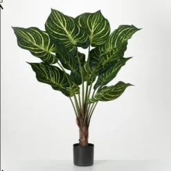 Trees & Topiaries-Kirkland's Home Veined Zebra Palm Potted Plant