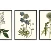 Framed Art-Kirkland's Home Vintage Blue Flowers Framed Art Prints, Set Of 3 Green/Blue
