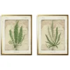 Framed Art-Kirkland's Home Vintage Green Ferns Framed Art Prints, Set Of 2 Tan/Green