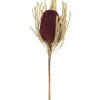 Stems & Bouquets-Kirkland's Home Violet Dried Jumbo Banksia Stems, Set Of 3 Purple