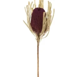 Stems & Bouquets-Kirkland's Home Violet Dried Jumbo Banksia Stems, Set Of 3 Purple
