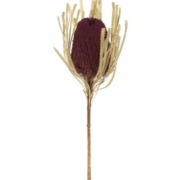 Stems & Bouquets-Kirkland's Home Violet Dried Jumbo Banksia Stems, Set Of 3 Purple