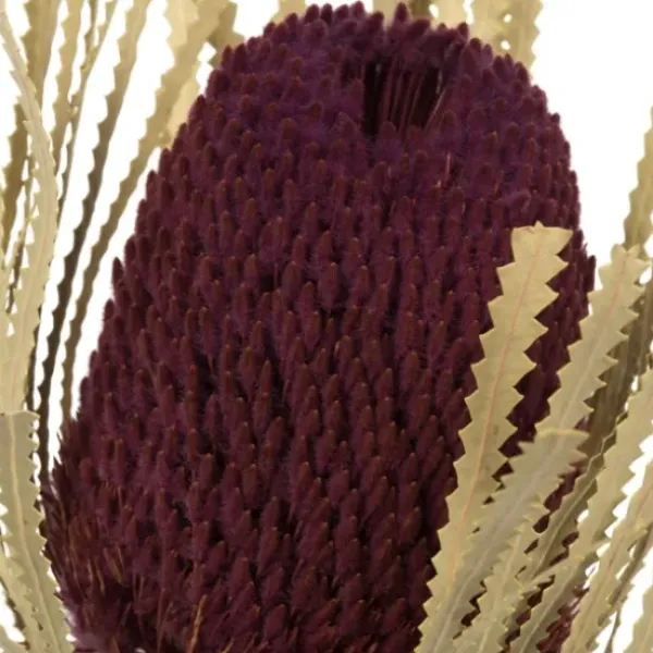 Stems & Bouquets-Kirkland's Home Violet Dried Jumbo Banksia Stems, Set Of 3 Purple