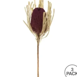 Stems & Bouquets-Kirkland's Home Violet Dried Jumbo Banksia Stems, Set Of 3 Purple