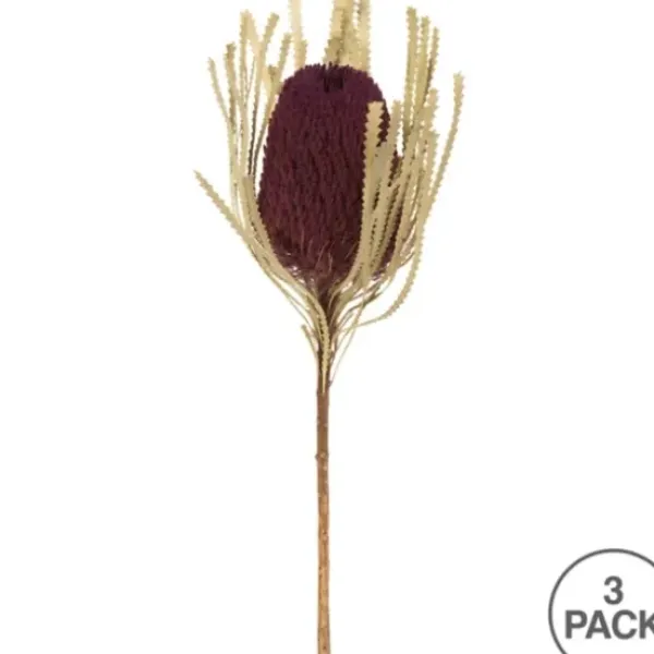 Stems & Bouquets-Kirkland's Home Violet Dried Jumbo Banksia Stems, Set Of 3 Purple