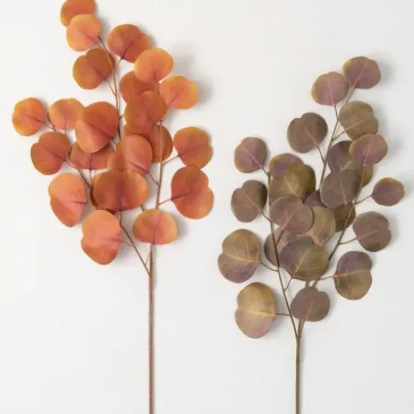 Stems & Bouquets-Kirkland's Home Warm Silver Dollar Eucalyptus Stems, Set Of 2 Orange/Brown