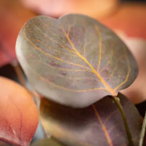 Stems & Bouquets-Kirkland's Home Warm Silver Dollar Eucalyptus Stems, Set Of 2 Orange/Brown