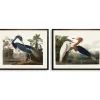 Framed Art-Kirkland's Home Water Birds Framed Art Prints, Set Of 2 Multi