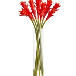 Arrangements & Greenery-Kirkland's Home Watered Star Bromeliad Bouqet In Glass Vase Pink/Green