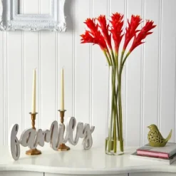 Arrangements & Greenery-Kirkland's Home Watered Star Bromeliad Bouqet In Glass Vase Pink/Green