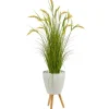 Trees & Topiaries-Kirkland's Home Wheat Grass In White Planter