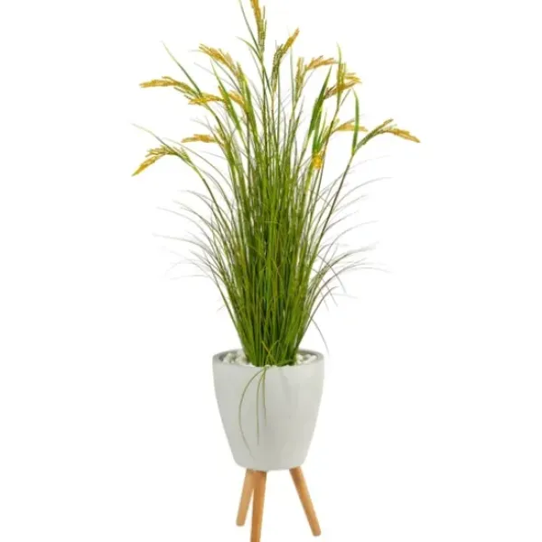 Trees & Topiaries-Kirkland's Home Wheat Grass In White Planter