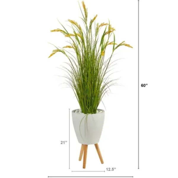 Trees & Topiaries-Kirkland's Home Wheat Grass In White Planter