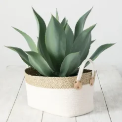 Baskets & Boxes-Kirkland's Home White And Natural Seagrass Woven Baskets, Set Of 3 White/Tan