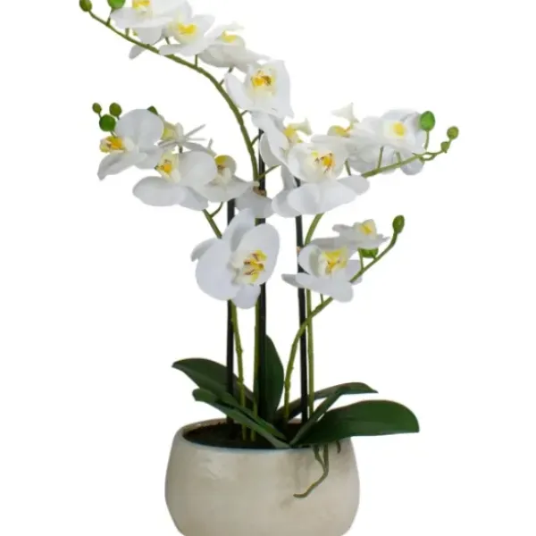Arrangements & Greenery-Kirkland's Home White Orchid In Round Ceramic Bowl White/Green